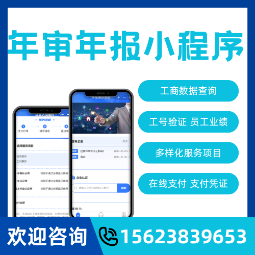 企业工商年审年报